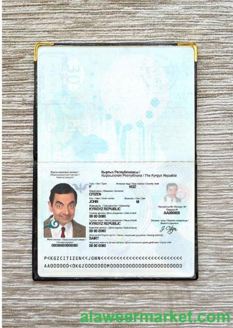 Kyrgyzstan passport photo look